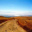 Hike Above Silicon Valley