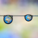 M.W.I. - That Everett Interpretation